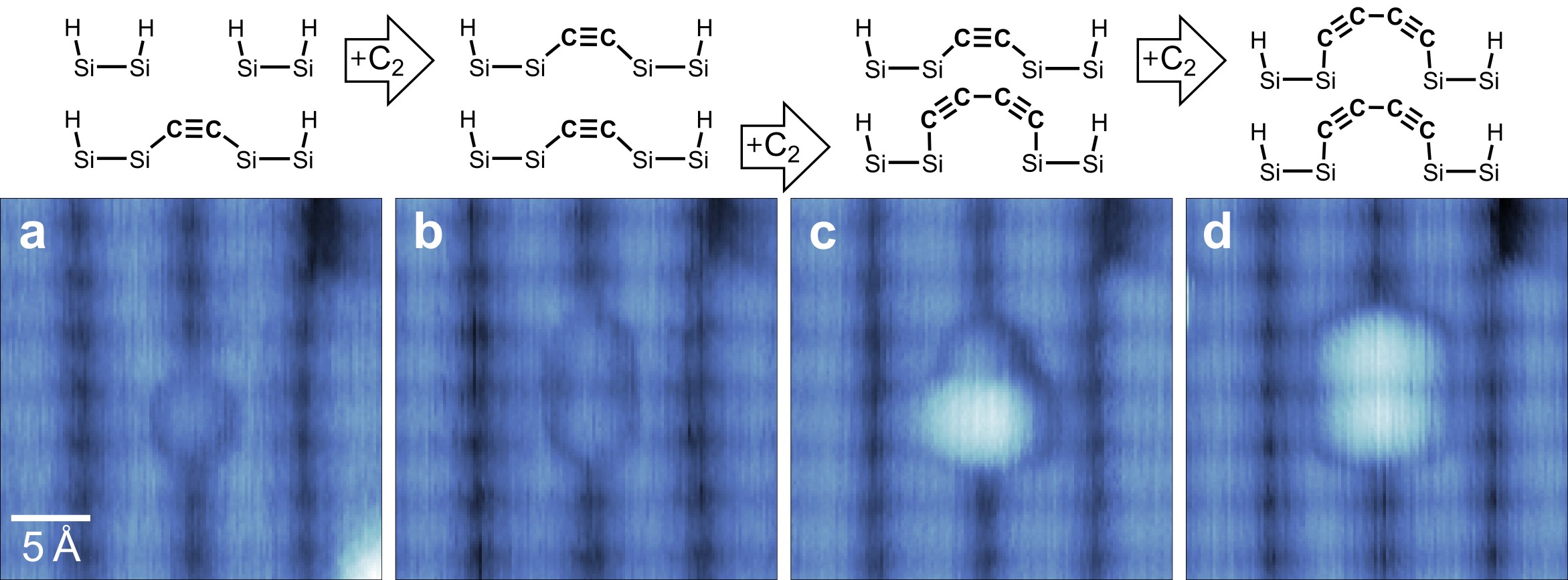 STM — six-carbon structure on Si(100), 2 nm scale bar